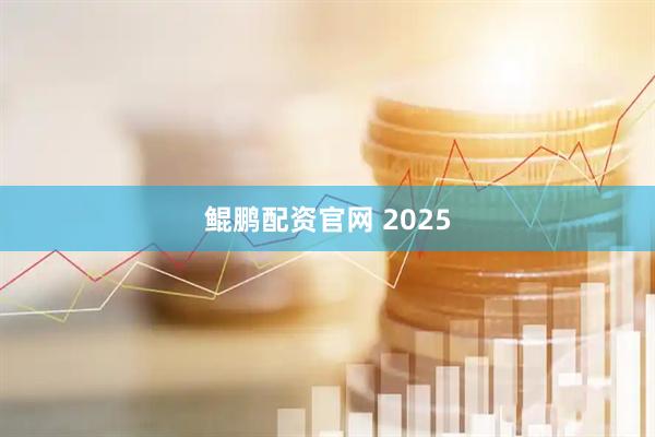 鲲鹏配资官网 2025